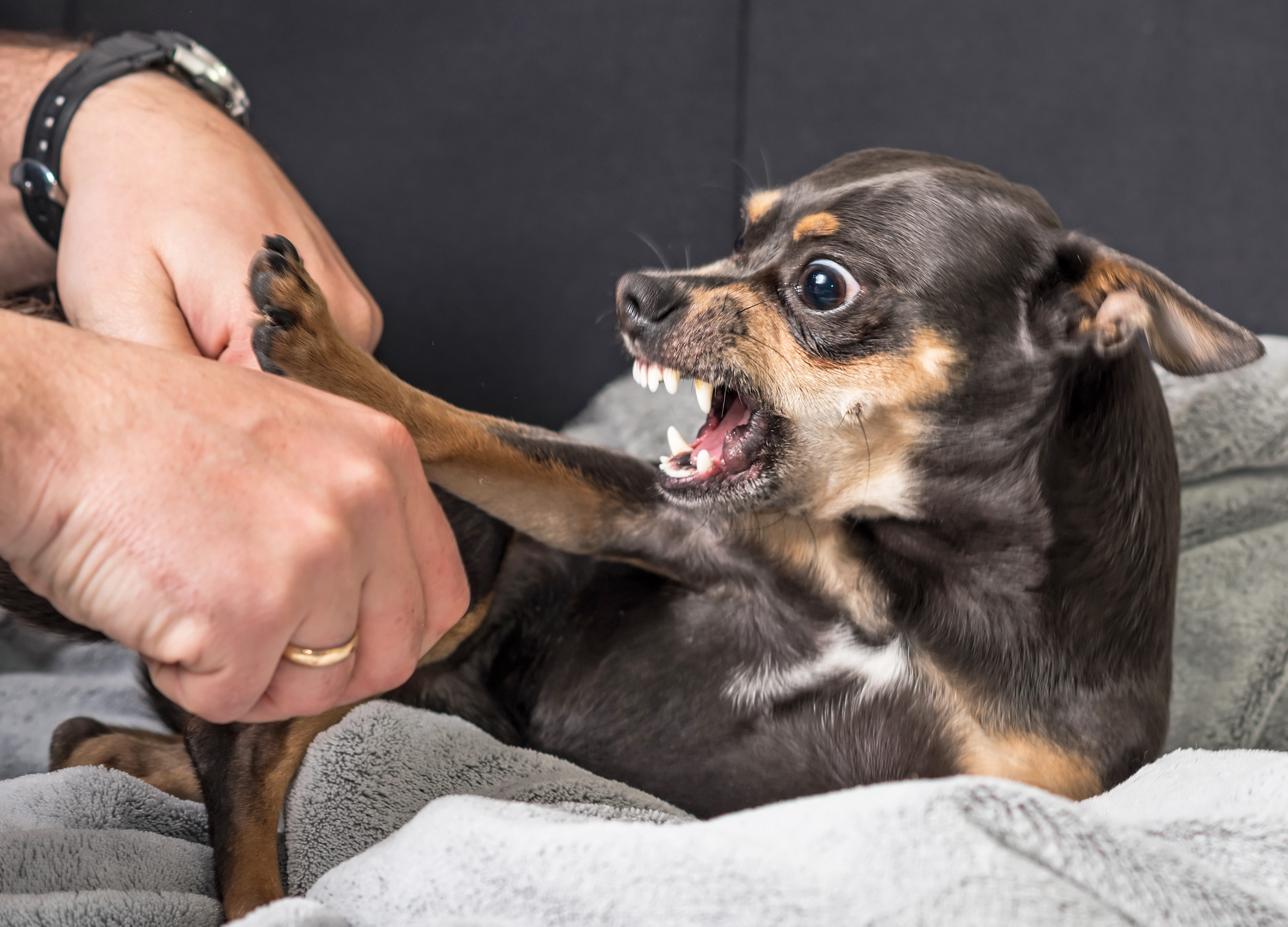 Nicht jede Ursache ist sichtbar Blogserie: Aggression verstehen statt nur erkennen