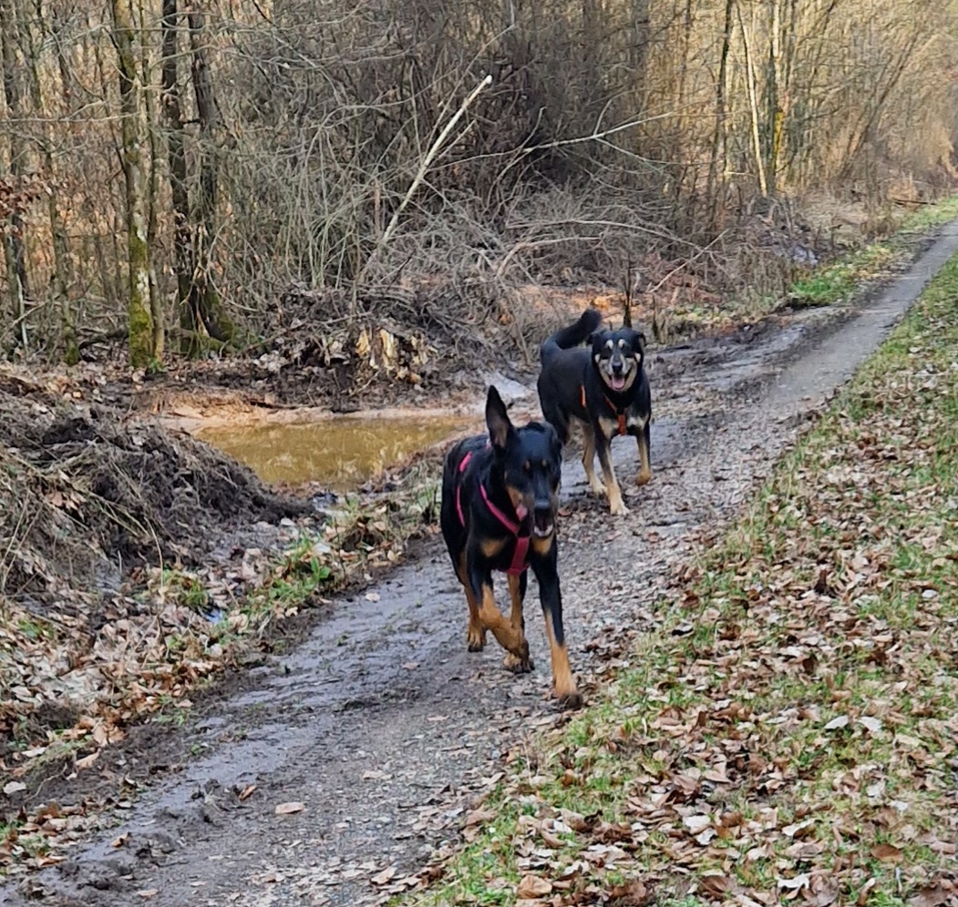 Wie aus Erfahrung Anouvelle entstand