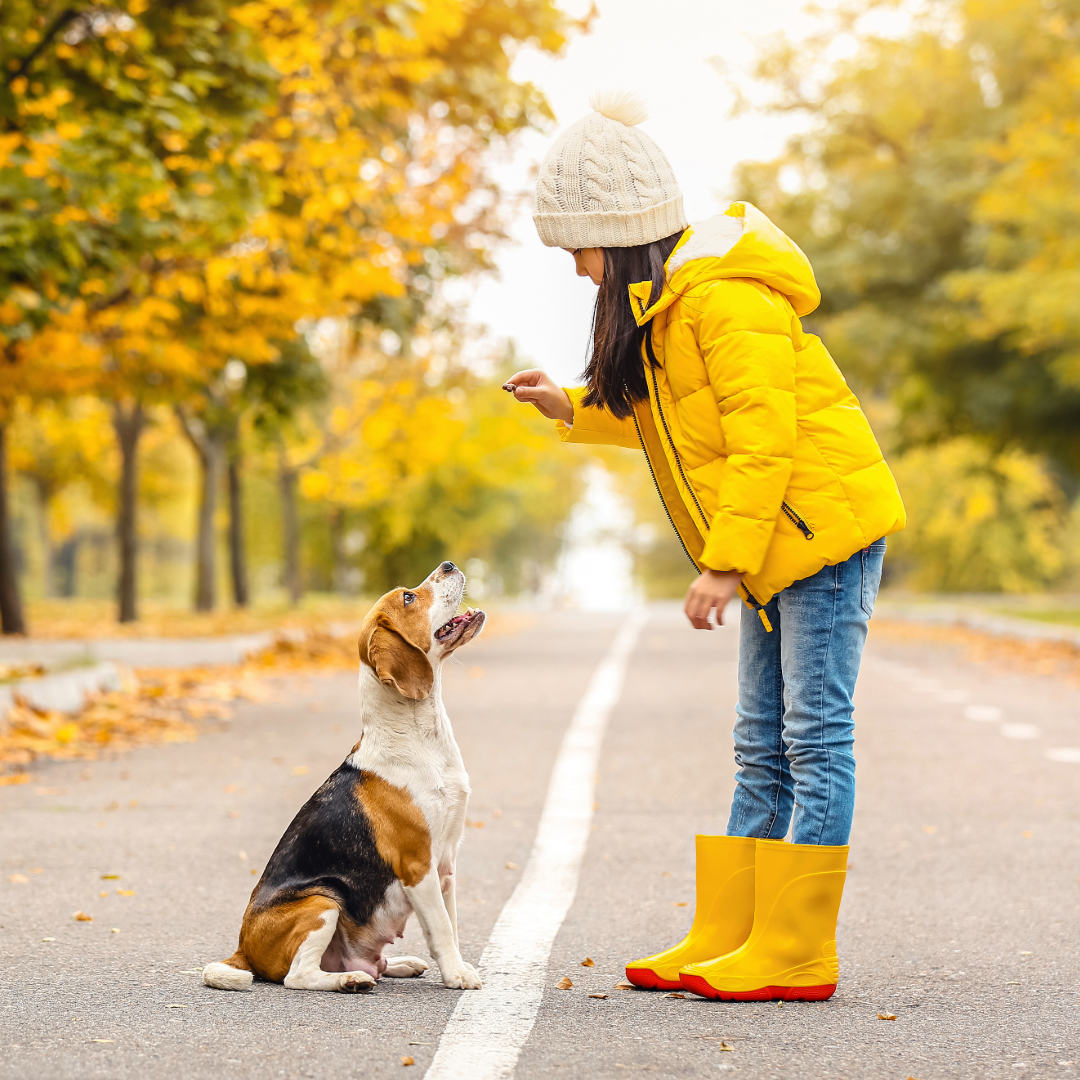 Kinder und Hunde – warum eine gute Beziehung nicht von allein entsteht