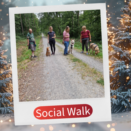 Fünf Personen mit Hunden gehen auf einem Waldweg. Text "Social Walk" am unteren Rand.