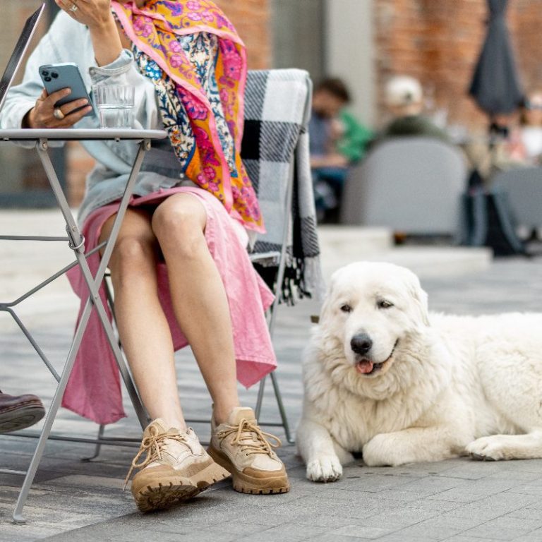 Umweltneutraler Hund Christiana Gramlich Ein Kaffee, ein Mann sitzt am Tisch und der Hund sitzt angeleint am Tisch