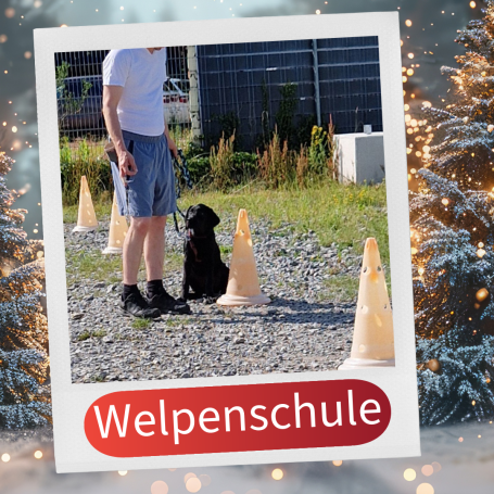 Ein Mensch und ein schwarzer Hund üben in einer Welpenschule neben aufgestellten Pylonen.