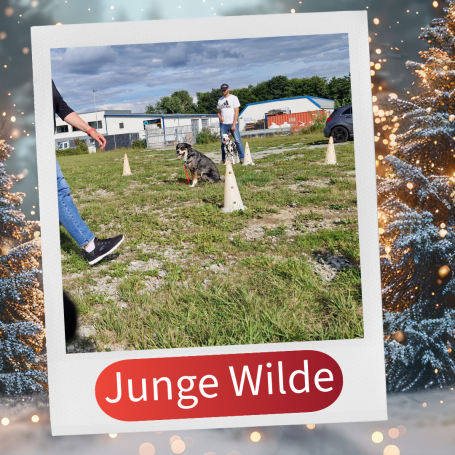 Kinder spielen im Freien auf einem Rasen mit Hindernissen und Kegeln.