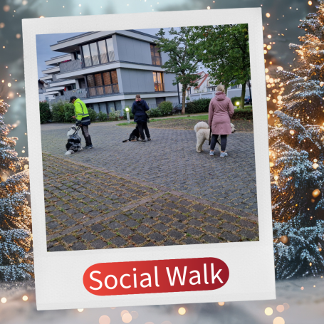 Zwei Personen mit Hunden und ein Hundebesitzer auf einem gepflasterten Weg.