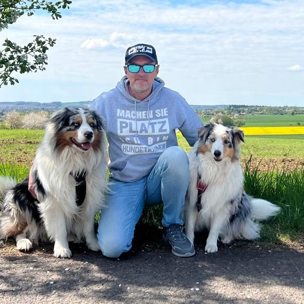 Mann kniet zwischen zwei collieähnlichen Hunden vor einer Landschaft mit blühenden Feldern.