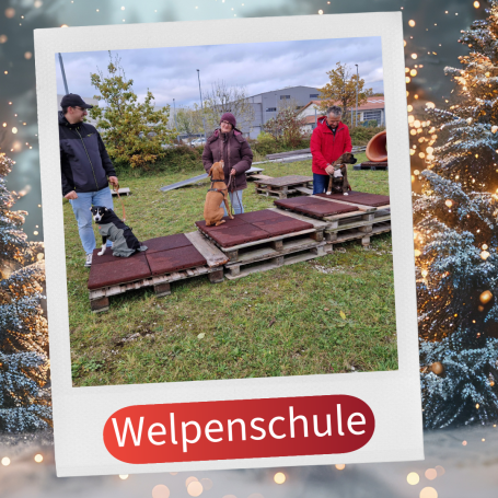 Drei Personen mit Hunden auf Holzpaletten in einem Trainingsgelände.