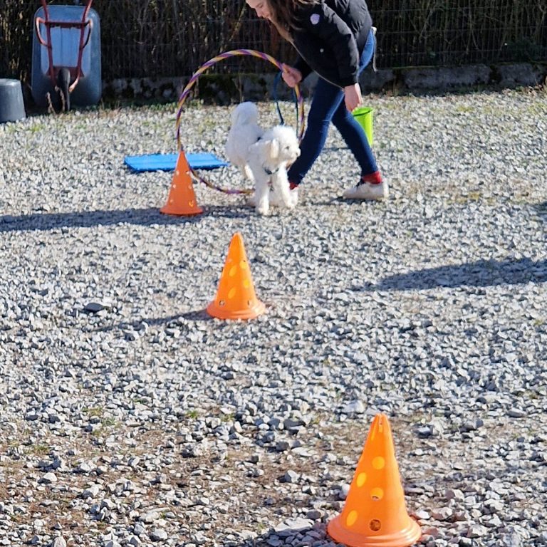 Crossdogging - Just Fun Hundeschule Christiana Gramlich Walldürn Ein Mann trägt einen Dalmatiner-Welpen auf dem Arm, mit Bergen im Hintergrund.