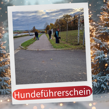 Menschen auf einem Gehweg, umgeben von Natur und herbstlichen Bäumen.