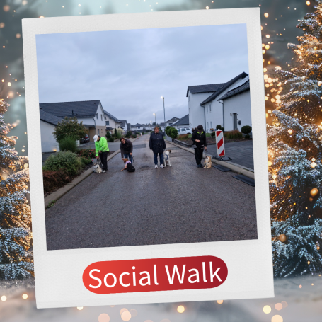 Gruppenspaziergang auf einem Wohnweg, umgeben von Häusern und festlicher Dekoration.