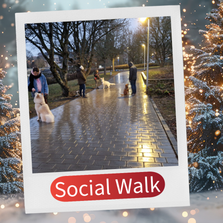 Hundebesitzer gehen mit ihren Hunden bei Nacht auf einem beleuchteten Gehweg spazieren.