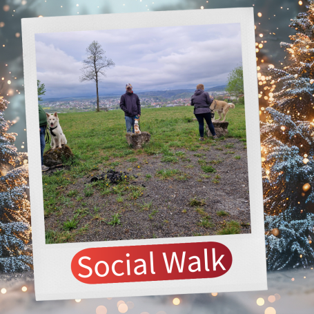 Zwei Personen auf einer Wiese beim Spaziergang, Hintergrund mit Bäumen und Wolken.