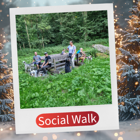 Gruppe von Menschen auf einer Wiese bei einem Treffen in der Natur.