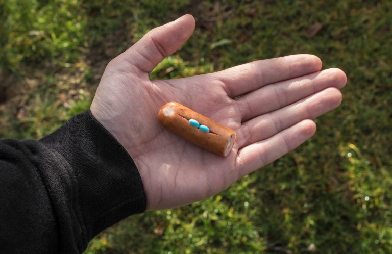 Antigiftködertraining Christiana Gramlich Hundetraining Ein Wanderer mit Rucksack beobachtet einen Hund auf einem Wanderweg.