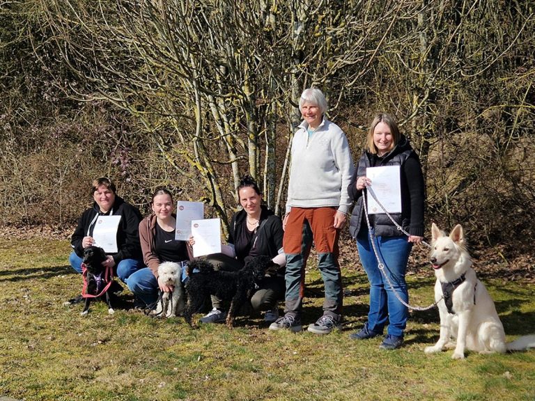 Kurs Hundeführerschein bei der Abschlussprüfung Sechs Personen mit Hunden stehen vor einem Baum im Freien. Alle halten Papiere in der Hand.