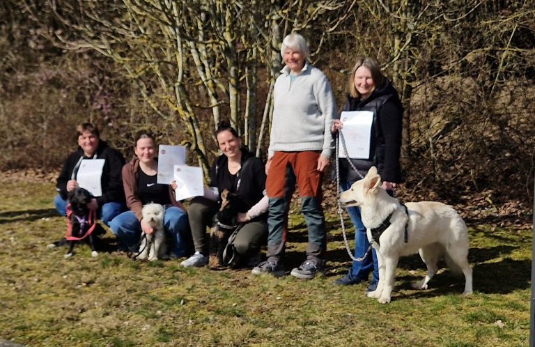 Brauner Hund liegt entspannt auf einem Kissen im Freien, umgeben von Natur.