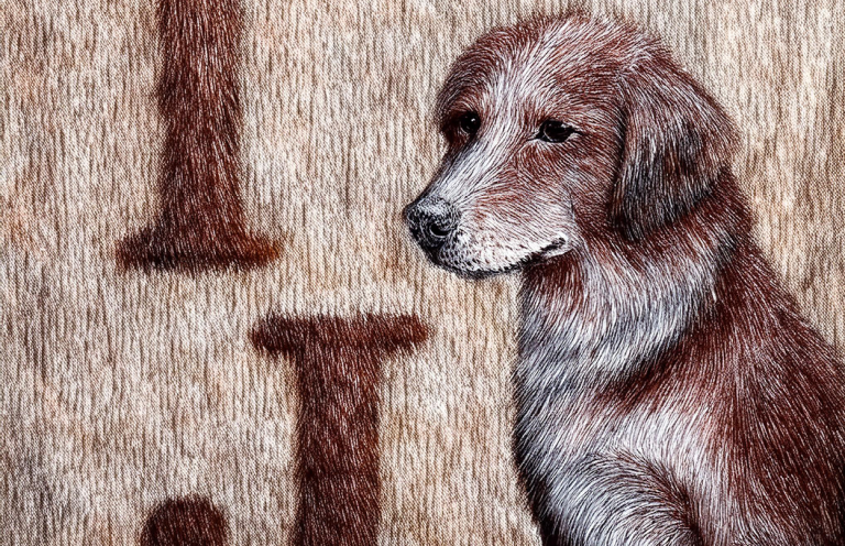 Alles über Hunde- Christiana Gramlich Hundetrainerin Brauner Hund mit aufmerksamen Augen vor einem schlichten Hintergrund.