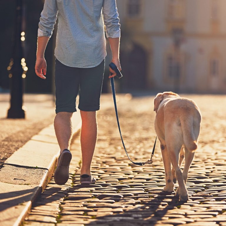 Lockere Leine Hund Christiana Gramlich Mann mit Hund an der Leine geht auf einem cobblestone Weg.